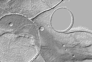 Seramik duvarın ve yerdeki fayansların dokusu. İç dekorasyon. 3 boyutlu grafikler için kusursuz doku haritası. Duvar kağıdı, tekstil, web sayfası arkaplanı.