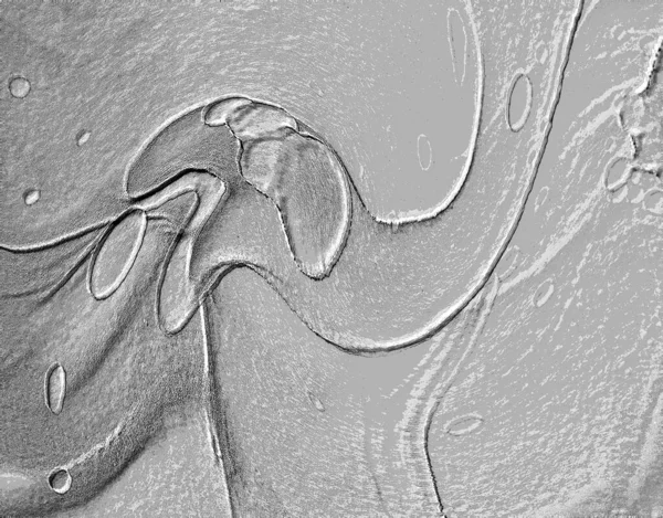 Seramik duvarın ve yerdeki fayansların dokusu. İç dekorasyon. 3 boyutlu grafikler için kusursuz doku haritası. Duvar kağıdı, tekstil, web sayfası arkaplanı.