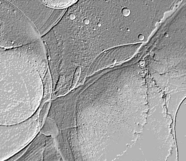 Seramik duvarın ve yerdeki fayansların dokusu. İç dekorasyon. 3 boyutlu grafikler için kusursuz doku haritası. Duvar kağıdı, tekstil, web sayfası arkaplanı.