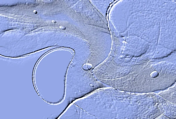 Seramik duvarın ve yerdeki fayansların dokusu. İç dekorasyon. 3 boyutlu grafikler için kusursuz doku haritası. Duvar kağıdı, tekstil, web sayfası arkaplanı.