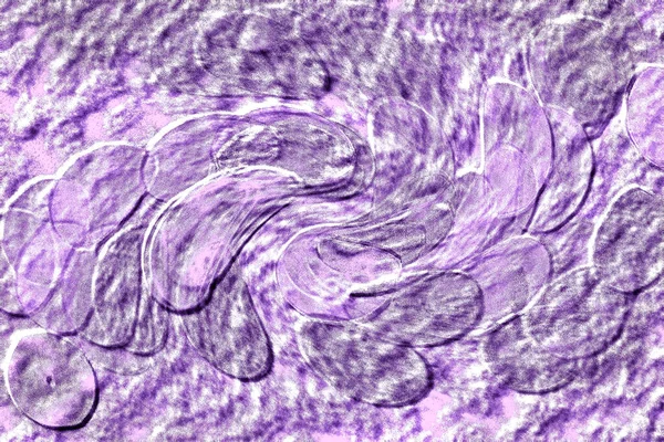 Farklı boyut ve şekillere sahip düzensiz fayanslar, 3 boyutlu grafikler için dikişsiz doku haritaları