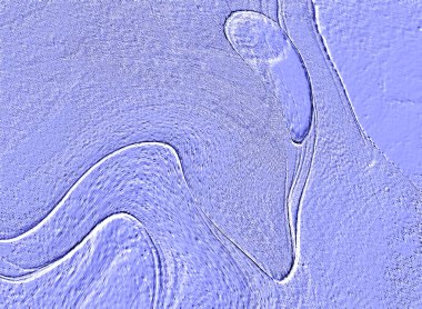 Farklı boyut ve şekillere sahip düzensiz fayanslar, 3 boyutlu grafikler için dikişsiz doku haritaları