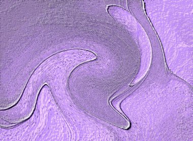 Farklı boyut ve şekillere sahip düzensiz fayanslar, 3 boyutlu grafikler için dikişsiz doku haritaları