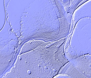 Farklı boyut ve şekillere sahip düzensiz fayanslar, 3 boyutlu grafikler için dikişsiz doku haritaları