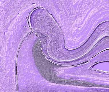 Farklı boyut ve şekillere sahip düzensiz fayanslar, 3 boyutlu grafikler için dikişsiz doku haritaları