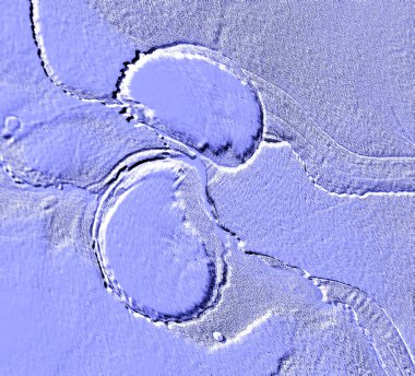 Farklı boyut ve şekillere sahip düzensiz fayanslar, 3 boyutlu grafikler için dikişsiz doku haritaları