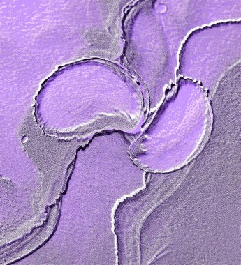 Farklı boyut ve şekillere sahip düzensiz fayanslar, 3 boyutlu grafikler için dikişsiz doku haritaları