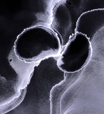 Alkol mürekkebinin sunduğu yüksek kaliteli akış sanatı tasarımcıya modern bir soyut arkaplan sağlar..