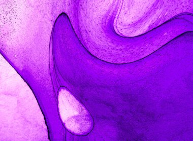 Yüksek kaliteli soyut tablolar tasarımcılara modern bir sanat arkaplanı kazandırıyor.