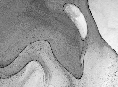 Yüksek kaliteli soyut tablolar tasarımcılara modern bir sanat arkaplanı kazandırıyor.