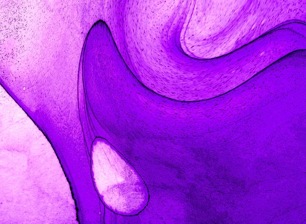 Yüksek kaliteli soyut tablolar tasarımcılara modern bir sanat arkaplanı kazandırıyor.