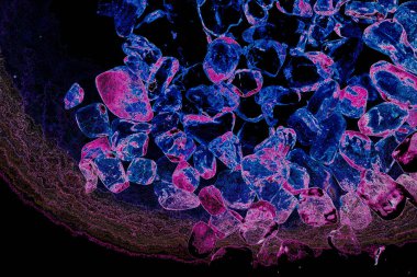 Tasarım için doğal kuvars değerli taş desen dokusu arka planı.