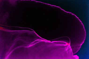 Modern soyut resim. Renkli akıcı sanat resimleri. Geometrik arkaplan.