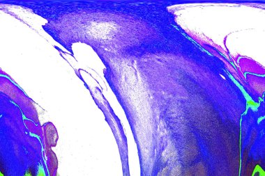 Modern soyut resim. Renkli akıcı sanat resimleri. Geometrik arkaplan.