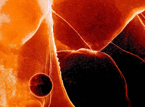 Modern soyut resim. Renkli akıcı sanat resimleri. Geometrik arkaplan.