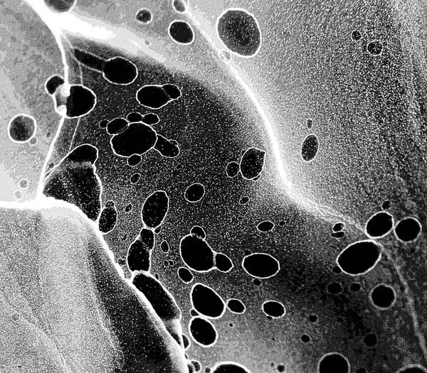 Modern soyut resim. Renkli akıcı sanat resimleri. Geometrik arkaplan.