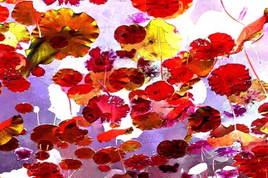 Nilüfer yaprakları ve nilüfer yapraklarıyla sunulan zarif desenli tasarım.