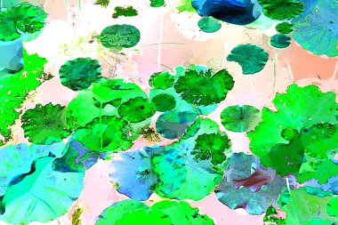 Nilüfer yaprakları ve nilüfer yapraklarıyla sunulan zarif desenli tasarım.