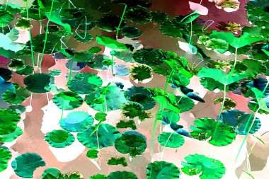 Nilüfer yaprakları ve nilüfer yapraklarıyla sunulan zarif desenli tasarım.