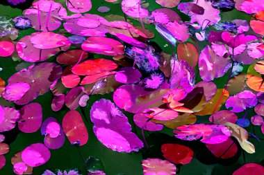 Nilüfer yaprakları ve nilüfer yapraklarıyla sunulan zarif desenli tasarım.