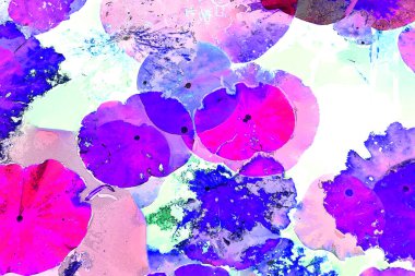 Nilüfer yaprakları ve nilüfer yapraklarıyla sunulan zarif desenli tasarım.