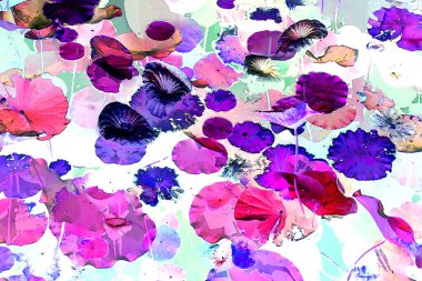 Nilüfer yaprakları ve nilüfer yapraklarıyla sunulan zarif desenli tasarım.