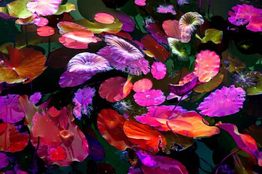 Nilüfer yaprakları ve nilüfer yapraklarıyla sunulan zarif desenli tasarım.