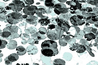 Nilüfer yaprakları ve nilüfer yapraklarıyla sunulan zarif desenli tasarım.