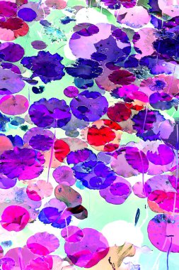 Nilüfer yaprakları ve nilüfer yapraklarıyla sunulan zarif desenli tasarım.