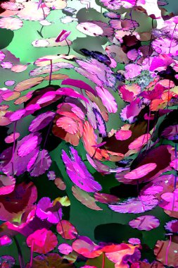 Nilüfer yaprakları ve nilüfer yapraklarıyla sunulan zarif desenli tasarım.