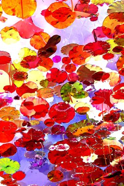 Nilüfer yaprakları ve nilüfer yapraklarıyla sunulan zarif desenli tasarım.