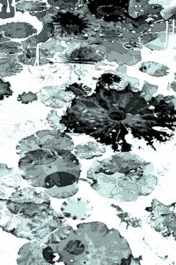 Nilüfer yaprakları ve nilüfer yapraklarıyla sunulan zarif desenli tasarım.