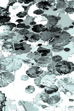 Nilüfer yaprakları ve nilüfer yapraklarıyla sunulan zarif desenli tasarım.