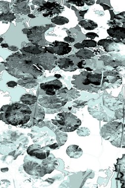 Nilüfer yaprakları ve nilüfer yapraklarıyla sunulan zarif desenli tasarım.