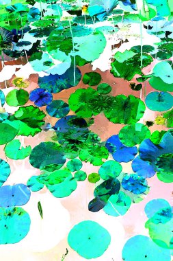 Nilüfer yaprakları ve nilüfer yapraklarıyla sunulan zarif desenli tasarım.