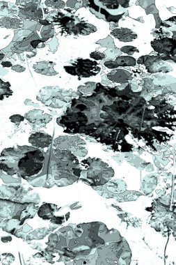 Nilüfer yaprakları ve nilüfer yapraklarıyla sunulan zarif desenli tasarım.