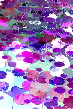 Nilüfer yaprakları ve nilüfer yapraklarıyla sunulan zarif desenli tasarım.