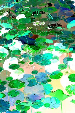 Nilüfer yaprakları ve nilüfer yapraklarıyla sunulan zarif desenli tasarım.