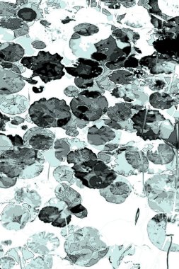 Nilüfer yaprakları ve nilüfer yapraklarıyla sunulan zarif desenli tasarım.