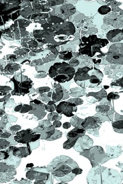 Nilüfer yaprakları ve nilüfer yapraklarıyla sunulan zarif desenli tasarım.