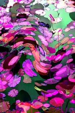 Nilüfer yaprakları ve nilüfer yapraklarıyla sunulan zarif desenli tasarım.