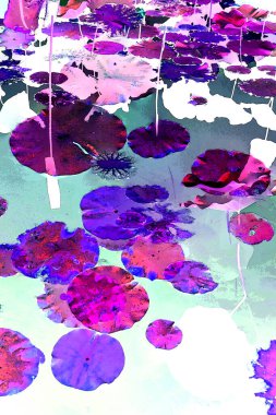 Nilüfer yaprakları ve nilüfer yapraklarıyla sunulan zarif desenli tasarım.