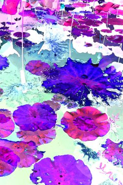 Nilüfer yaprakları ve nilüfer yapraklarıyla sunulan zarif desenli tasarım.