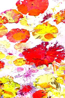 Nilüfer yaprakları ve nilüfer yapraklarıyla sunulan zarif desenli tasarım.