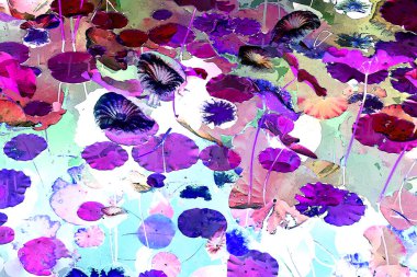 Nilüfer yaprakları ve nilüfer yapraklarıyla sunulan zarif desenli tasarım.