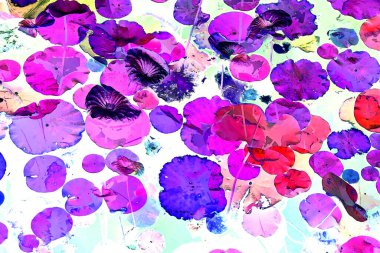 Nilüfer yaprakları ve nilüfer yapraklarıyla sunulan zarif desenli tasarım.