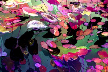 Nilüfer yaprakları ve nilüfer yapraklarıyla sunulan zarif desenli tasarım.