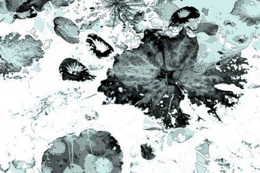 Nilüfer yaprakları ve nilüfer yapraklarıyla sunulan zarif desenli tasarım.