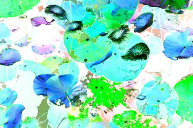 Nilüfer yaprakları ve nilüfer yapraklarıyla sunulan zarif desenli tasarım.