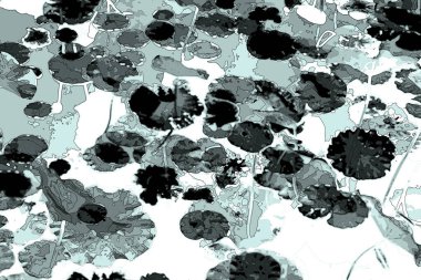 Nilüfer yaprakları ve nilüfer yapraklarıyla sunulan zarif desenli tasarım.